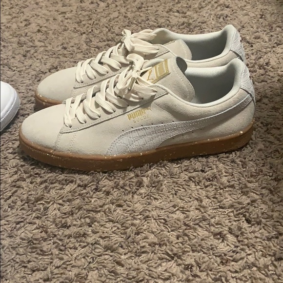 Pumas - Picture 7 of 12